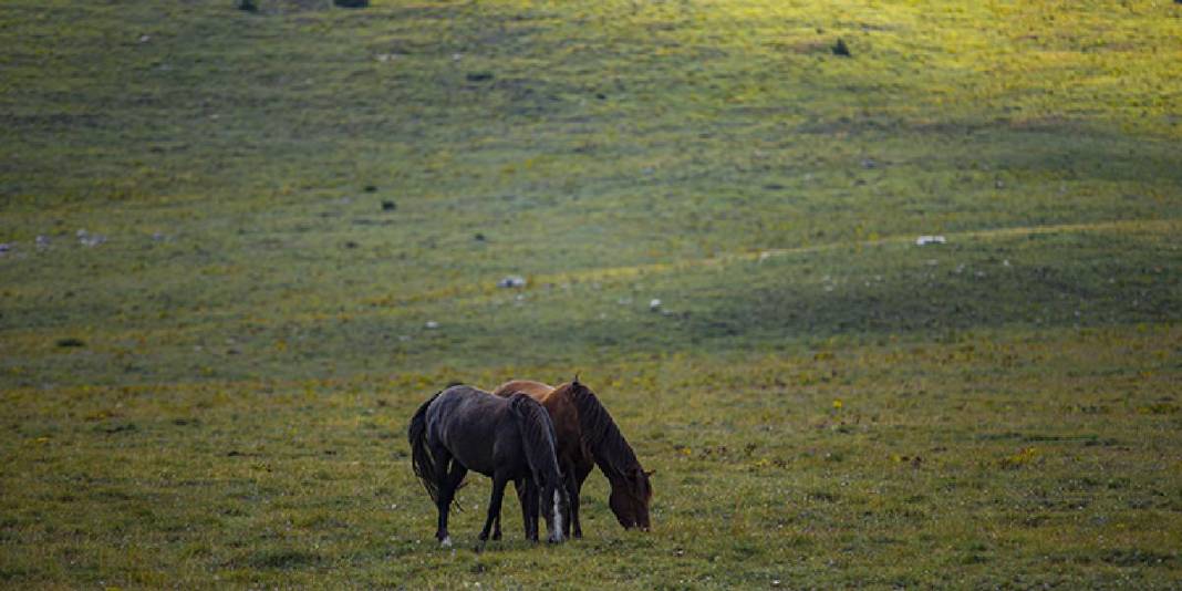Teknoloji yok, doğa ve gerçeklik var! Bu köyde her şey eskisi gibi: Huzuru fotoğraflardan bile tatmak mümkün 3